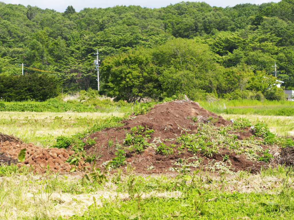 柳沢農園